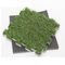 ЛДПЭ листа искусственной доски пены термоизоляции циновки травы водоустойчивый резиновый